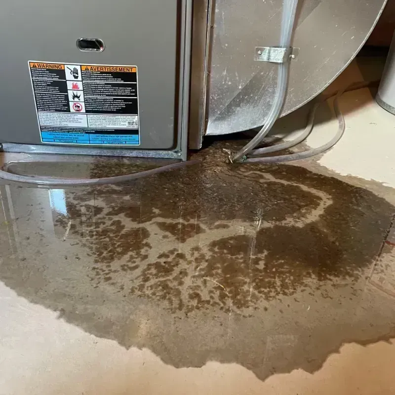 Appliance Leak Cleanup in Sangamon County, IL